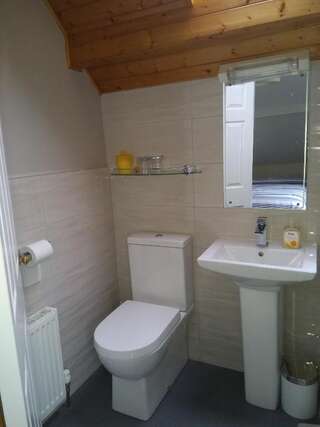 Отели типа «постель и завтрак» Twin Oaks Bed & Breakfast Килкенни Семейный номер-10