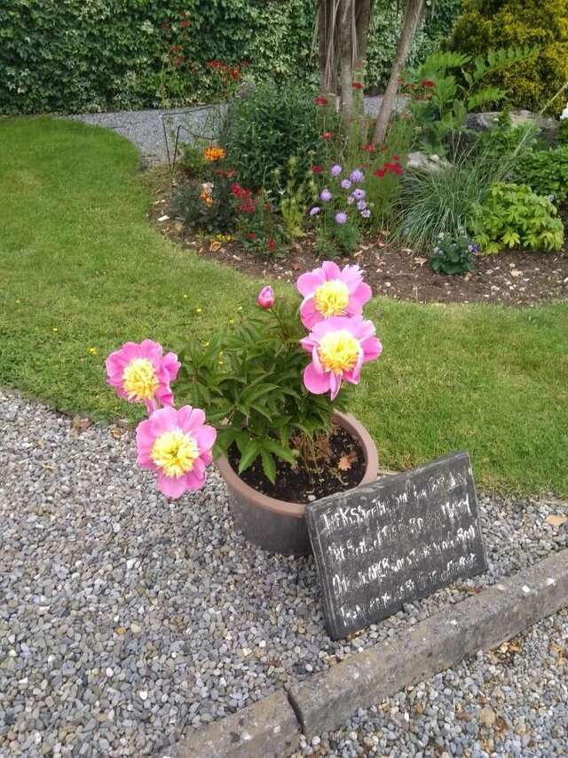 Отели типа «постель и завтрак» Twin Oaks Bed & Breakfast Килкенни-17