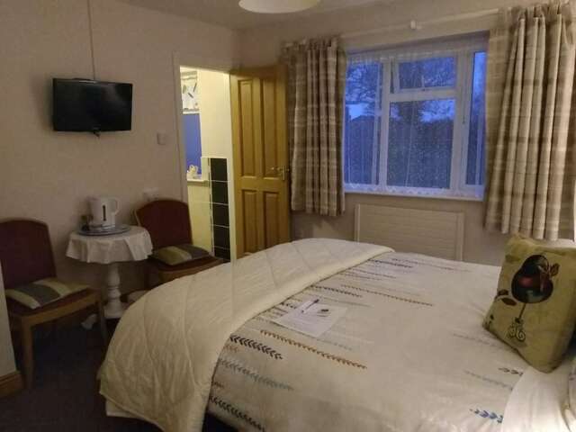 Отели типа «постель и завтрак» Twin Oaks Bed & Breakfast Килкенни-18