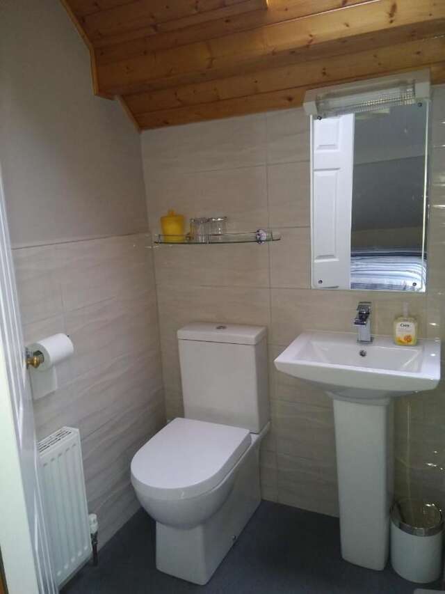 Отели типа «постель и завтрак» Twin Oaks Bed & Breakfast Килкенни-19