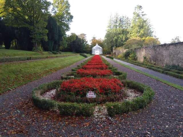 Отели типа «постель и завтрак» Twin Oaks Bed & Breakfast Килкенни-20