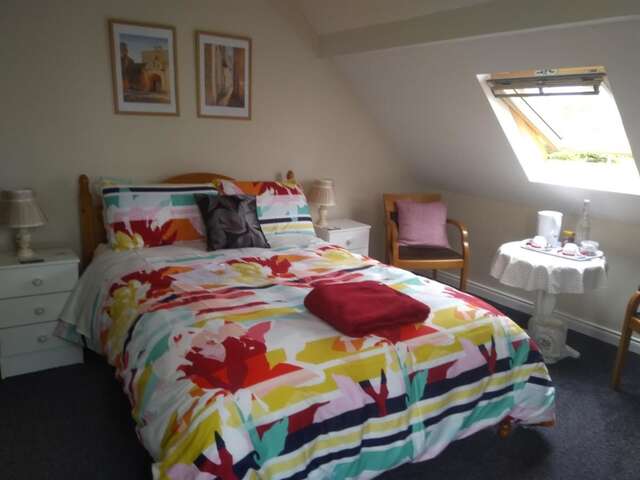 Отели типа «постель и завтрак» Twin Oaks Bed & Breakfast Килкенни-24