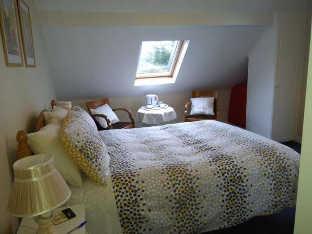 Отели типа «постель и завтрак» Twin Oaks Bed & Breakfast Килкенни-28