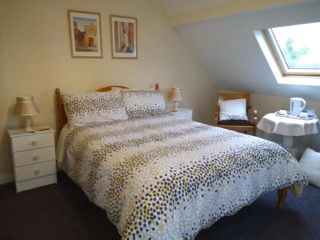 Отели типа «постель и завтрак» Twin Oaks Bed & Breakfast Килкенни-29