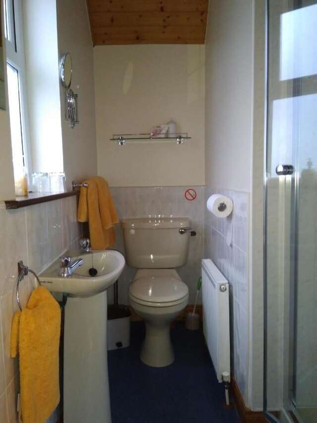 Отели типа «постель и завтрак» Twin Oaks Bed & Breakfast Килкенни-32