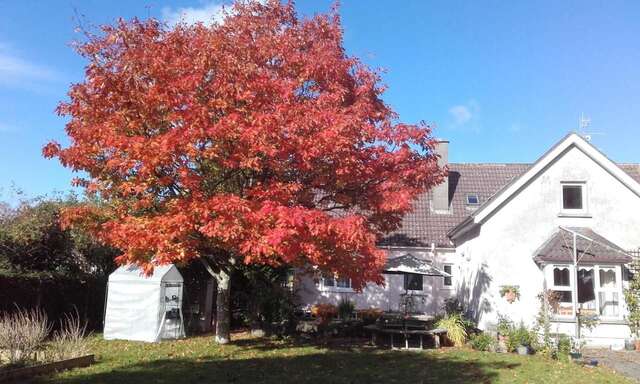 Отели типа «постель и завтрак» Twin Oaks Bed & Breakfast Килкенни-33