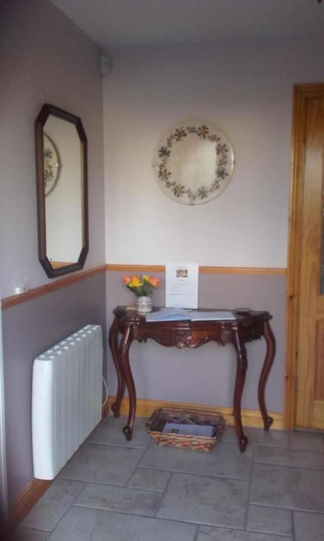 Отели типа «постель и завтрак» Twin Oaks Bed & Breakfast Килкенни-35