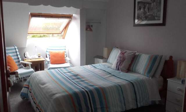 Отели типа «постель и завтрак» Twin Oaks Bed & Breakfast Килкенни-40