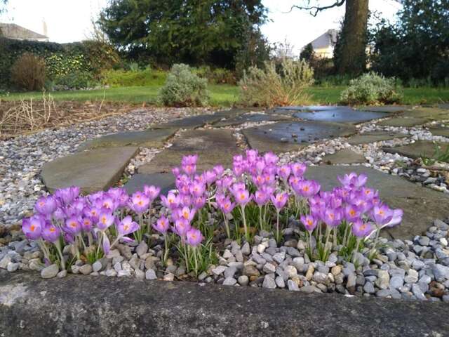 Отели типа «постель и завтрак» Twin Oaks Bed & Breakfast Килкенни-46