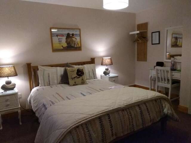 Отели типа «постель и завтрак» Twin Oaks Bed & Breakfast Килкенни-9