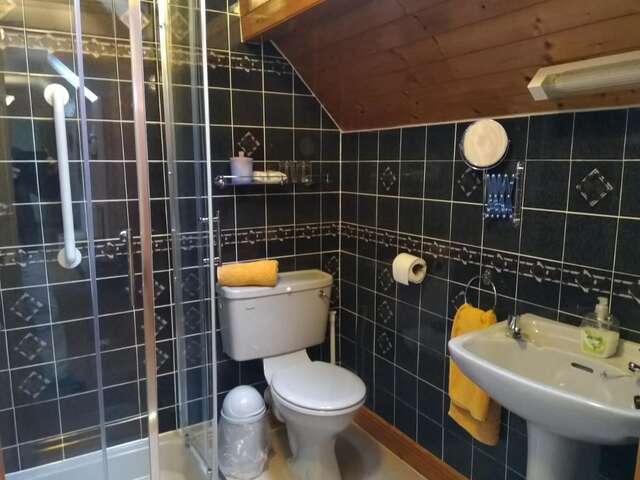 Отели типа «постель и завтрак» Twin Oaks Bed & Breakfast Килкенни-10